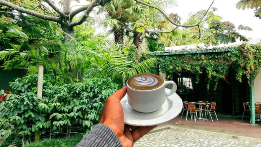 Una tarde tranquila entre café y pan dulce en Café Nube